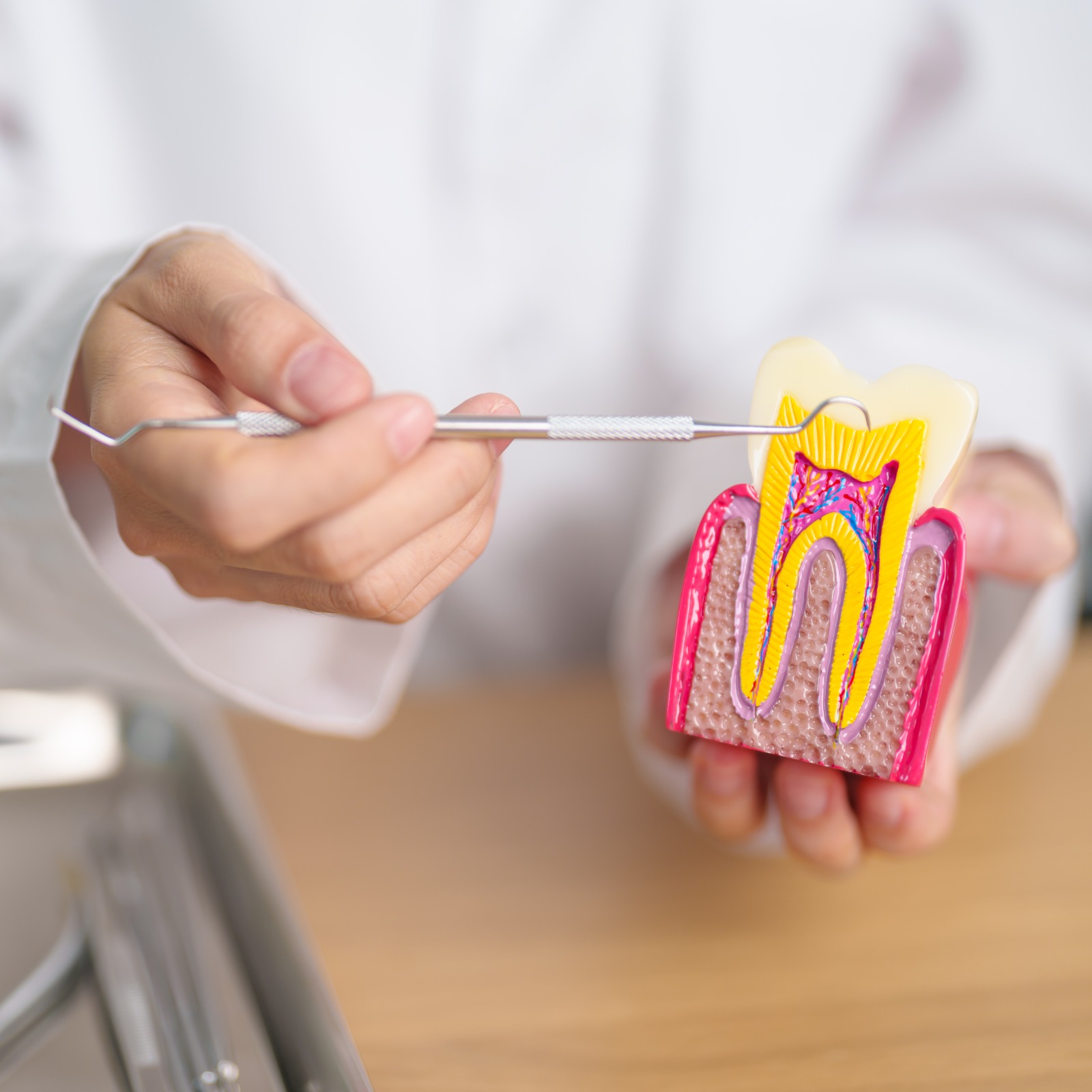 Endodontia